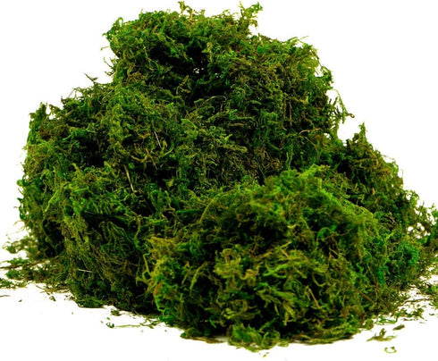 BYHER Artificial Moss, Fake Green Grass for Centerpieces, Home Kitchen Garden Decor (8OZ, Fresh)