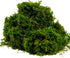 BYHER Artificial Moss, Fake Green Grass for Centerpieces, Home Kitchen Garden Decor (8OZ, Fresh)