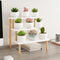 Windowsill Plant Stand Shelf 3 Tiers Desktop Organization and Storage Shelf Bathroom