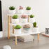 Windowsill Plant Stand Shelf 3 Tiers Desktop Organization and Storage Shelf Bathroom