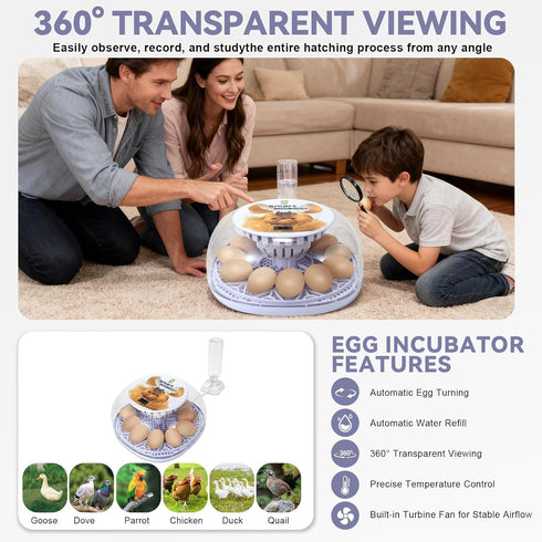 GleeGearNex 12 Gen I - Egg Automatic Incubator, Steady Humidity with Auto-Refill, Stable Temp Control, Auto Egg