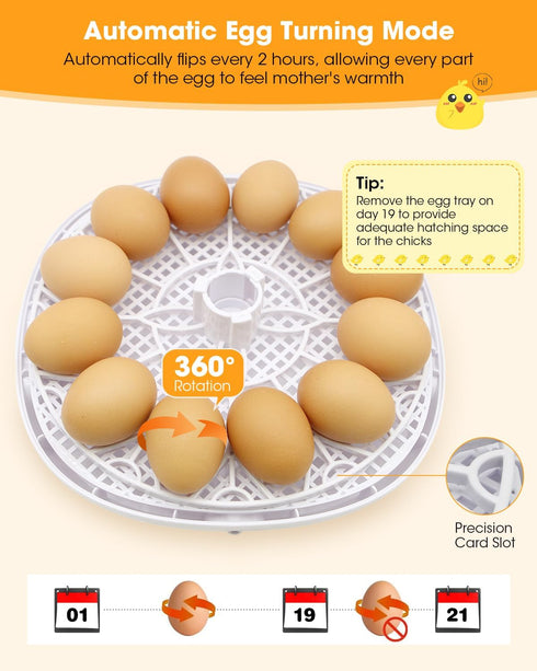 12 360 Incubators for Hatching Eggs, Chicken Waterer Cups, Automatic Egg Turner Holds Eggs, Smart Incubator Clear