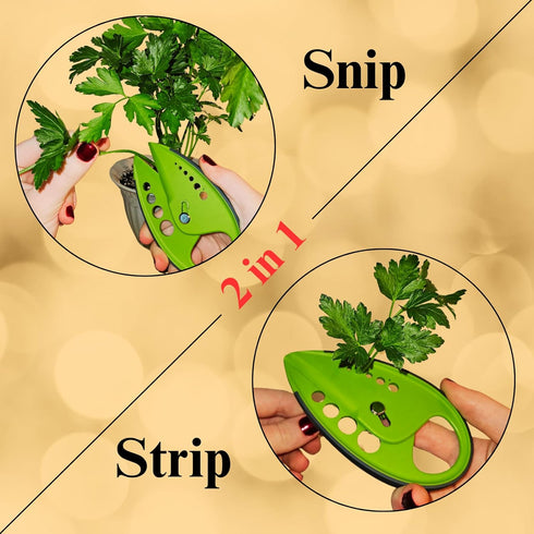 Herb Scissors - Stainless Steel 5 Blade Kitchen Shears with Safety Cover