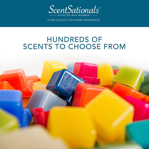 Scentsationals Coconut Vacay 2.5 oz Fragrant Melts, 6 Scented Wax Cubes, Small Green