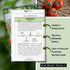 Packet (1) Sow Right Seeds - Rutgers Tomato Seeds for Planting - Non-GMO Heirloom with Instructions to Plant and Grow