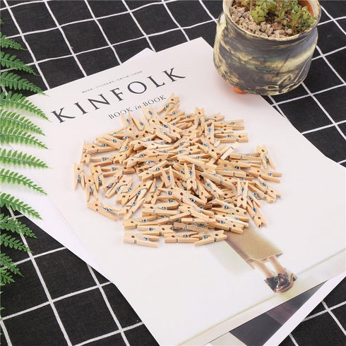DECORA Sturdy 1 Inch Mini Wooden Craft Clothespins (100pcs)