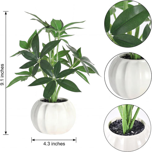 ChopiLine 9.1 Artificial Plants Stems with Vase, Fake Plants for Home Decor, Coffee Table Centerpieces, Office