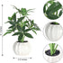 ChopiLine 9.1 Artificial Plants Stems with Vase, Fake Plants for Home Decor, Coffee Table Centerpieces, Office