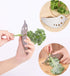 Stainless Steel Herb Stripper Tool - Metal Kale Stripper for Chard, Collard Greens, Parsley, Thyme, Basil, Rosemary