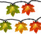 Fall String Lights Maple Leaf Lights, 13.6FT Outdoor String Lights Plug in