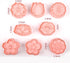 8 Pack 3D 8 Flower Cookie Cutters, Cookie Cutter with Plunger Stamp, Styles Spring Flowers Cookie Stamps for Home