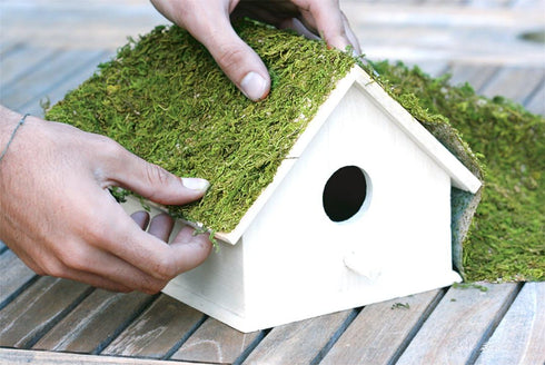 SuperMoss (22420) InstantGreen Moss Mat, Fresh Green, 18 x 16"