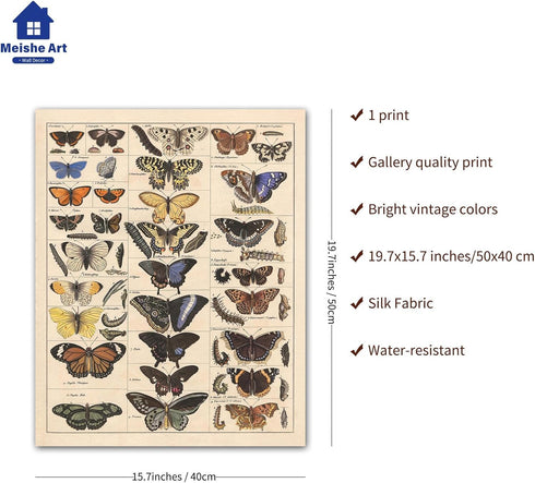 Meishe Vintage Butterflies Insects Art Poster Print, Butterfly Breeds Collection Species Identification Chart