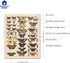 Meishe Vintage Butterflies Insects Art Poster Print, Butterfly Breeds Collection Species Identification Chart