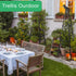 47" Indoor-2 Pack Garden Trellis, Plant Trellis for Potted Plants Flowers Vegetables and Vines,Tomato Cage Tower,Garden