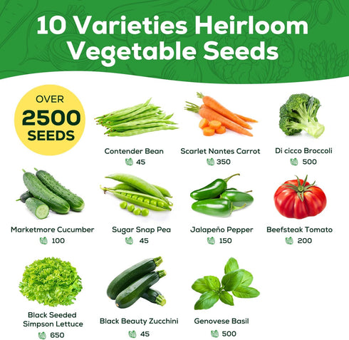 10 Pack Vegetable Seeds - Non GMO, Heirloom - Basil, Snap Pea, Broccoli, Bean, Jalapeo Pepper, Tomato, Lettuce