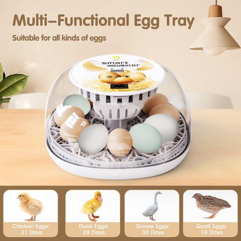 12 Egg Incubators for Hatching Eggs Chicken Eggs Incubator for Hatching Eggs Incubator with Automatic Egg Turner
