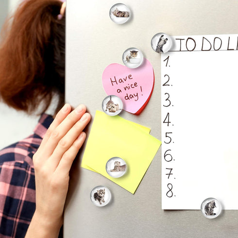 Super Cute Fridge & Locker Magnets – 12 Vibrant Glass Magnets for Photos, Notes, Recipes, Aesthetic Decoration
