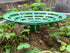 DSHE 10 Packs Melon Cradle Pumpkin Stand Plant Support for Cantaloupe Melon, Squash, Watermelon