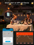 Govee Bluetooth Meat Thermometer, Wireless Digital Grill Thermometer for Smoker Oven, 2 Probes, Timer Mode, Smart LCD