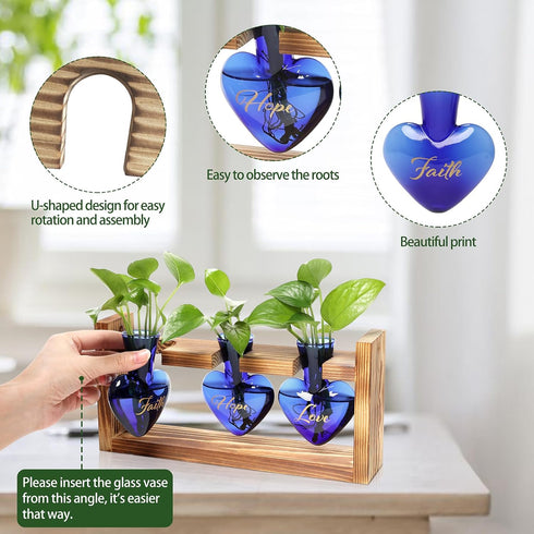 Plant Terrarium Propagation Stations Faith Hope Love Hydroponics Home Garden Decoration Gift for Women with Wooden