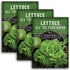 All the Year Round Lettuce Seeds for Planting Slow-Bolting Butterhead Variety for