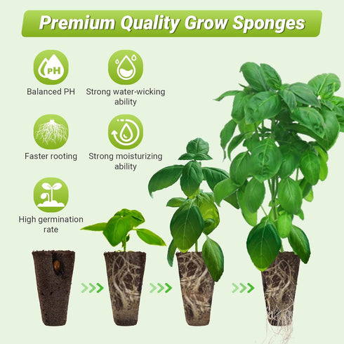 TISOHUGO 50 Pack 50pcs 10 Square Seed Starter Pods for Indoor Hydroponics Growing System, Squared Grow Sponges