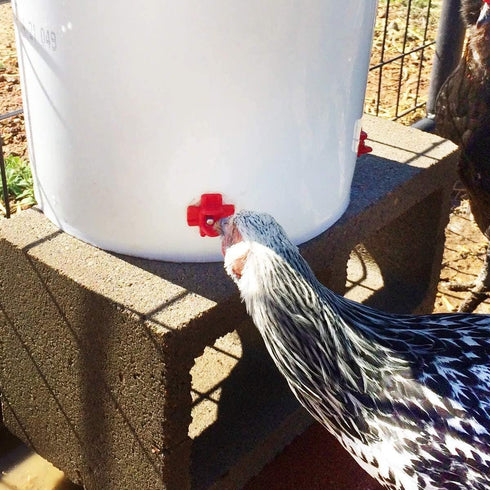 40 Pack Chicken Waterer Nipples - Easy Install Leakproof Poultry Watering System for Chicken Coop, Quail Duck Water