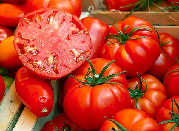 Beefsteak Tomato Seeds for Planting Heirloom, Large & Juicy One of the