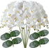 FagusHome 32" Artificial Phalaenopsis Flowers, 6 Pcs with 4 Bundles Leaves for Home Décor