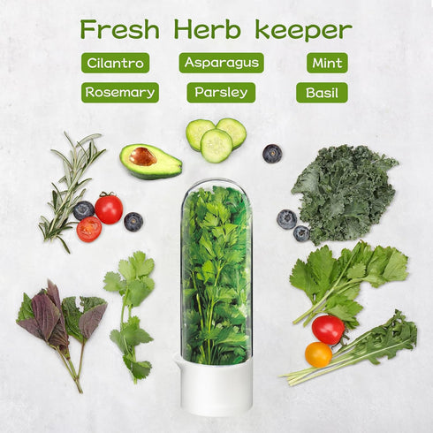 UEOZ 2-3 (4PCS) Herb Keeper for Refrigerator, Herb Saver for Refrigerator, Vegetable Preservation Bottle for Cilantro