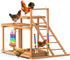 Multi-Functional Chicken Perch with Swing and Xylophone Toy
