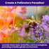7500 90% (5 Pack) NatureZ Edge English Lavender Seeds for Planting Outdoors or Indoors, Germination, to Give You The