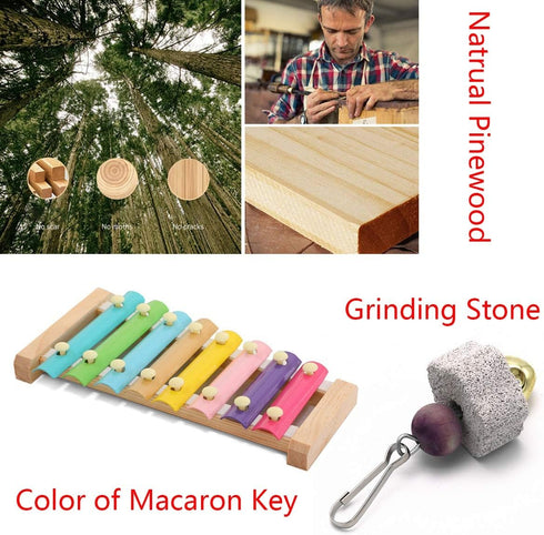 Vehomy 8 Chicken Xylophone Toy for Hens Suspensible Wood Xylophone Toy with Metal Keys Chicken Coop Pecking Toy