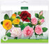 Flower Pro Five Petal Rose Cutters Set of 3 for Cake Decorating - by Katy Sue Green