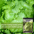 Packet (4) Sow Right Seeds - Great Lakes Iceberg Lettuce Seeds for Planting - Non-GMO Heirloom with Instructions
