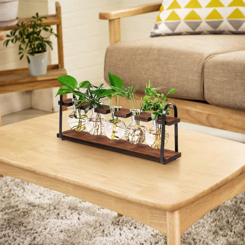 Bulb THYGIFTREE Plant Propagation Stations with Wooden Stand, Desktop Retro Plant Terrarium Vase for Indoor Hydroponic