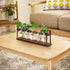 Bulb THYGIFTREE Plant Propagation Stations with Wooden Stand, Desktop Retro Plant Terrarium Vase for Indoor Hydroponic