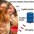 5 12 Pack Chicken Automatic Waterer Kit for Poultry Float Style Gravity Water Feeder Drinking Cup Bowl Gallon