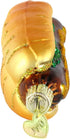 Old World Christmas Ornaments, Hot Dog, Glass Blown for Christmas Tree