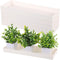 FMOACEN 5 PCS Plastic Plant Tray Saucer with 2 Removable Drain Plugs Rectangular