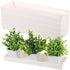 FMOACEN 5 PCS Plastic Plant Tray Saucer with 2 Removable Drain Plugs Rectangular