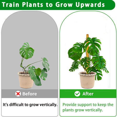 PLANTPOLEX 2 Pack 17 Inch Moss Pole, Monstera Plant Support for Climbing Plants Accessories Indoor, Stackable Moss