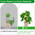 PLANTPOLEX 2 Pack 17 Inch Moss Pole, Monstera Plant Support for Climbing Plants Accessories Indoor, Stackable Moss