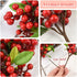4 HUIANER Pcs Artificial Red Berries, Christmas Fake Flowers Lifelike Redberry Stems Faux Fruit for Valentine's Day