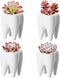 YOFIT Modern Style Teeth Pots Ceramic Flower Pot for Dental Gifts, White Succulent Cactus Planter, Set of 4