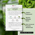 Packet (1) Sow Right Seeds - Jericho Lettuce Seeds for Planting - Non-GMO Heirloom with Instructions to Plant a Home