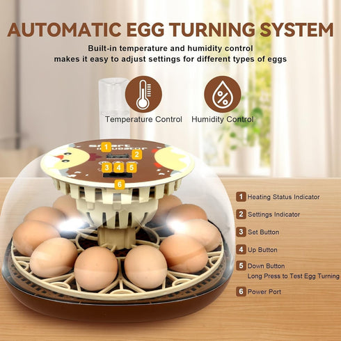 12-Egg Pigeon(12-Egg-Brown) Series I-Automatic Incubator for Beginners, Auto Egg Turn, Steady Self-Regulating Humidity