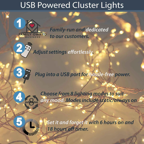 200 Qbis Warm White Cluster Lights on Thin Copper Wire, Micro LED USB Plug in Christmas Fairy Lights, Timer, Multi