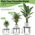 7.9-inch TOSKING Heavy Duty Metal Plant Stand - Round Tray with Geometric Pattern, Adjustable Leveling Feet